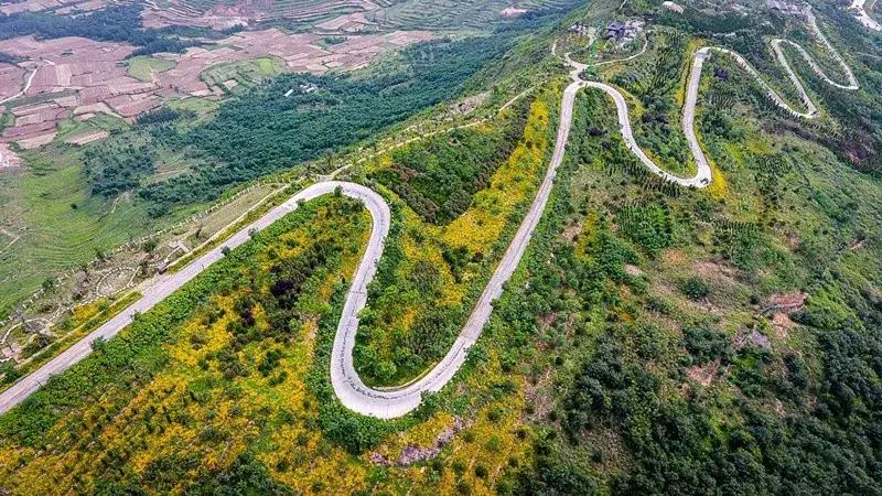 洛阳适合休息的公园,洛阳免费公园景点大全