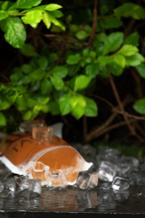 挞柠柠檬茶广东,佛山禅城手打柠檬茶