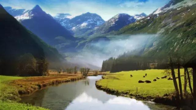 王充东山再起,王充渡劫期