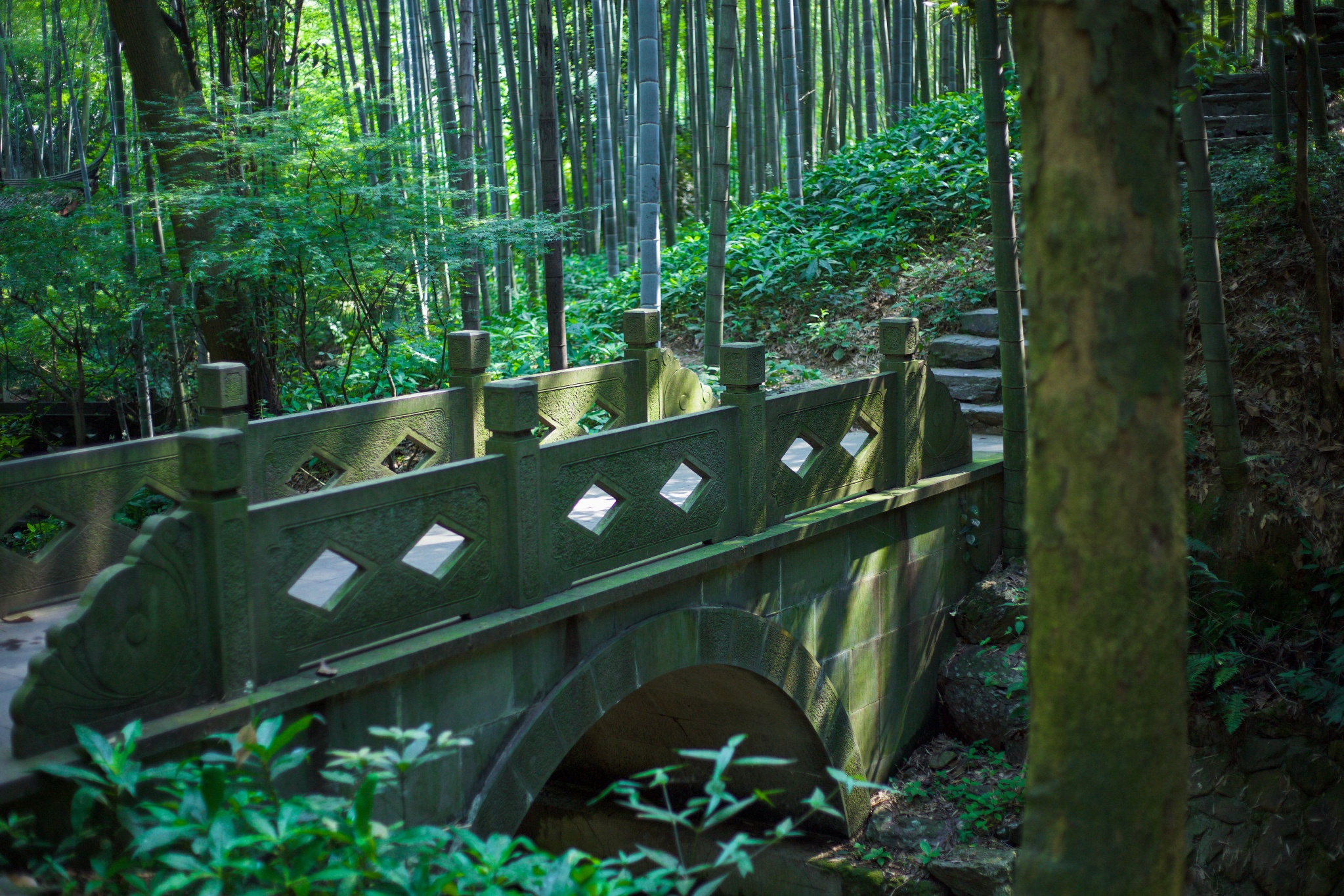 杭州隐藏的小众景点,杭州西湖摄影的最佳位置