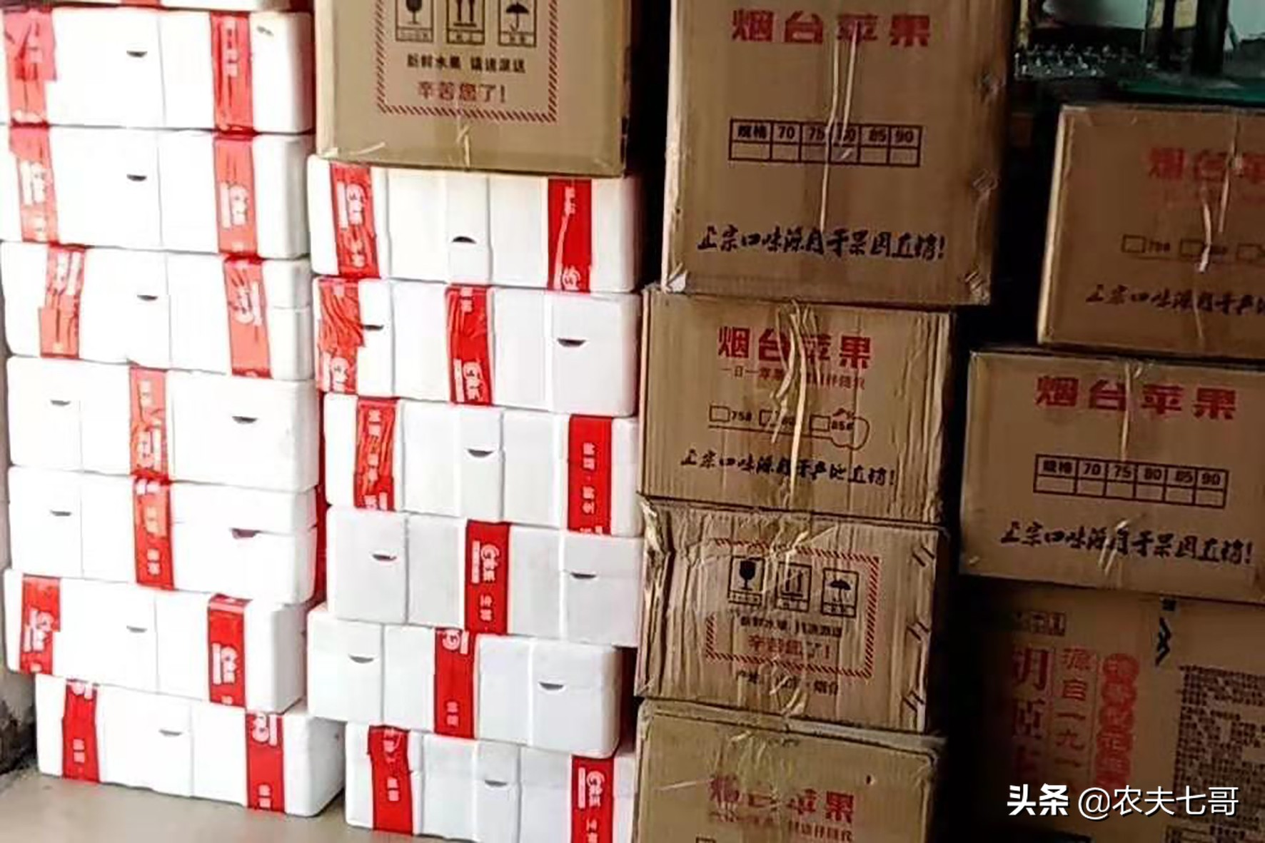 苹果怎么快速打包到果袋,苹果果农套袋子最快方法