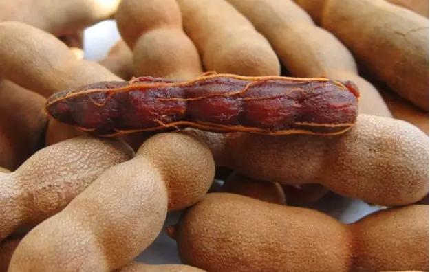 海南必吃十种水果图片名称,海南水果品种大全排名