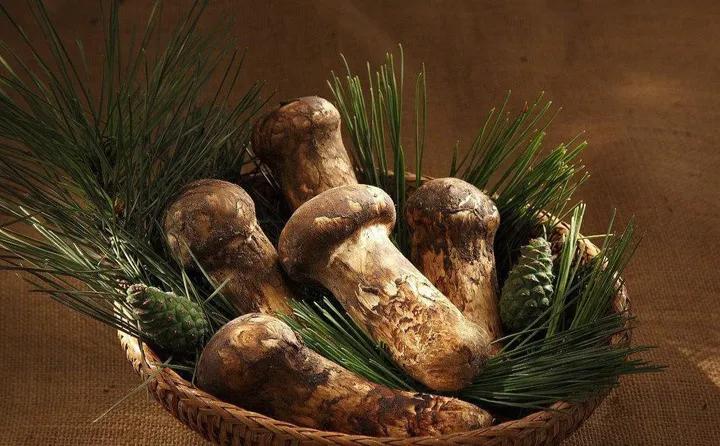 有哪些产地在中国的顶级食材？