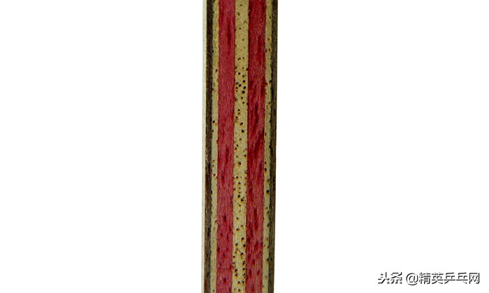 乒乓球精英聊器材,精英聊器材视频