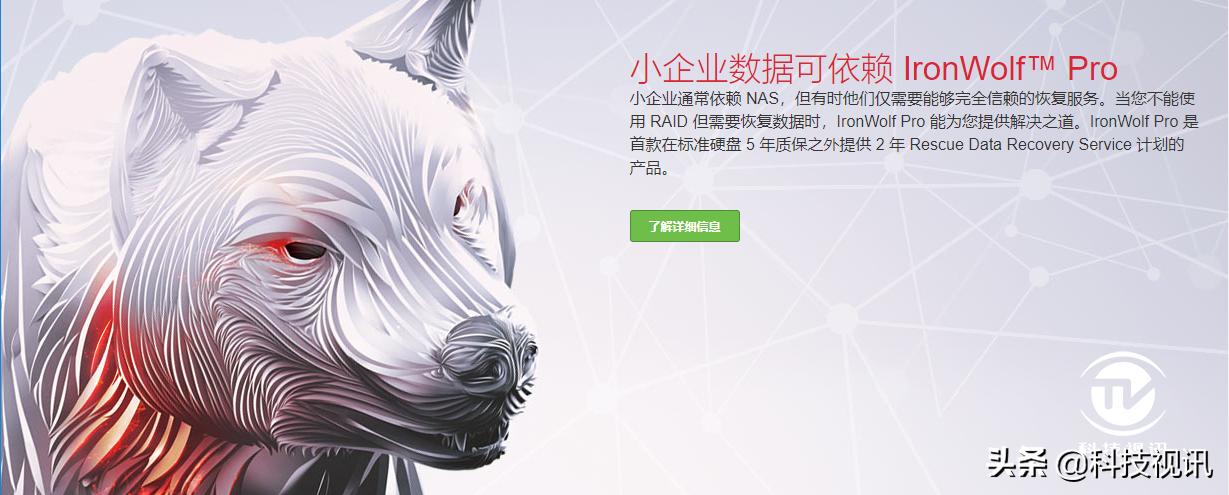 希捷ironwolf测评,希捷ironwolfpro图片