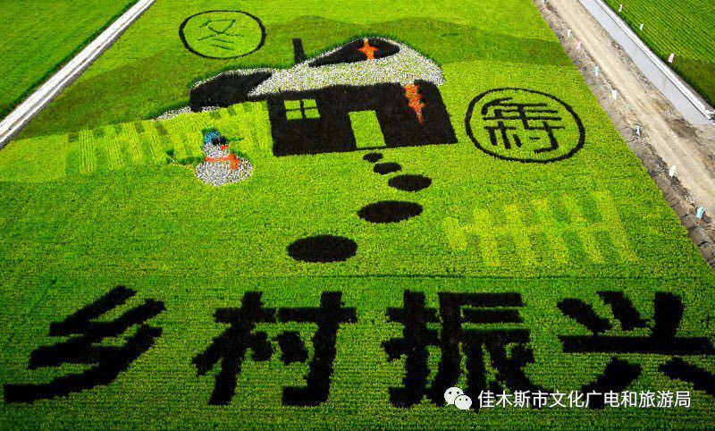 富锦万亩稻田秋收场景,富锦万亩稻田公园由来