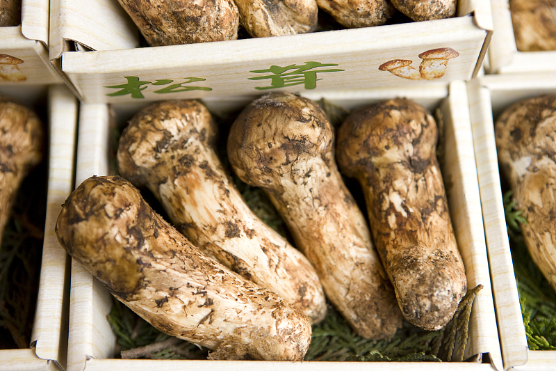 血液粘稠血管化瘀最有效的方法,血管血粘稠的症状怎么调理