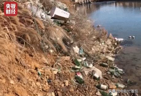 央视315曝光汉堡王完整版,315晚会曝光的海参