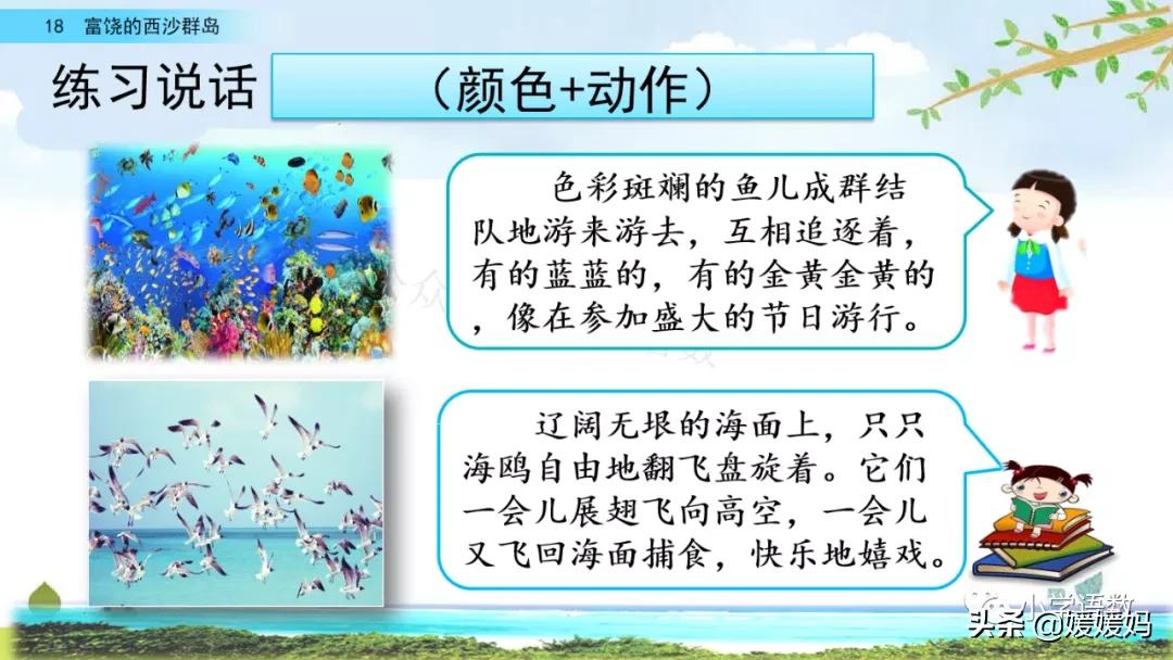 三年级第18课富饶的西沙群岛视频,三年级上册18富饶的西沙群岛笔记