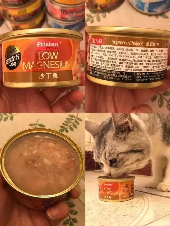 最新猫罐头推荐排行榜,什么猫罐头好养又便宜