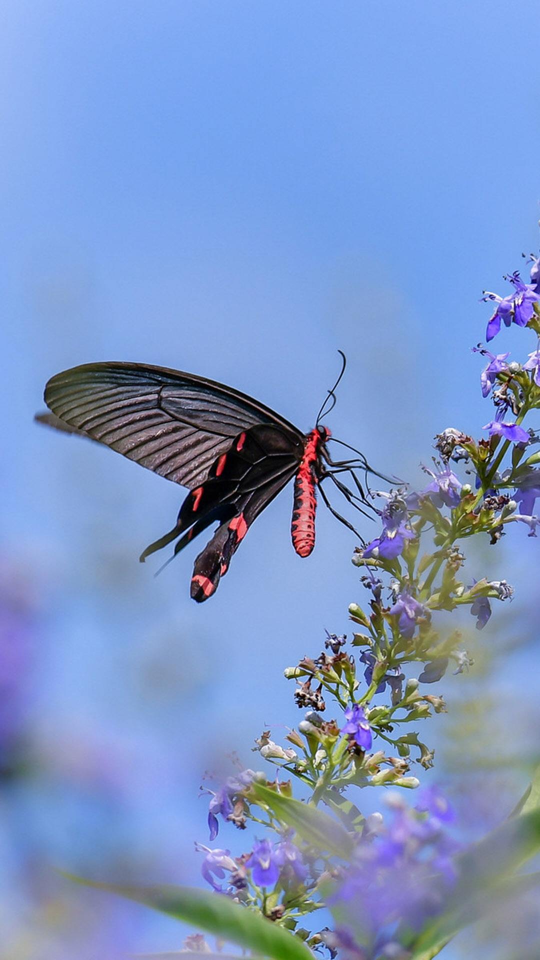 抗生素不良反应,各类抗生素药的不良反应