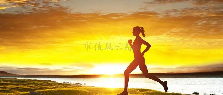 折翼的鸟还能飞起来吗,贵人鸟什么时候出现的