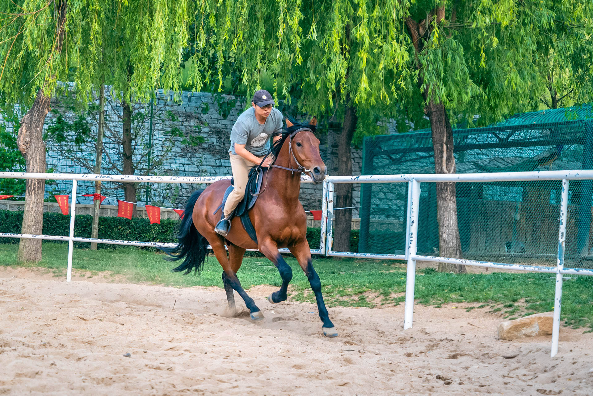 龙口锡青铜大坐佛,龙口全国第一大铜佛