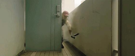 活着朴信惠完整版,活着朴信惠刘亚仁