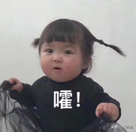 老板半夜宣布破产，“高仿版拼多多”这回撑不住了