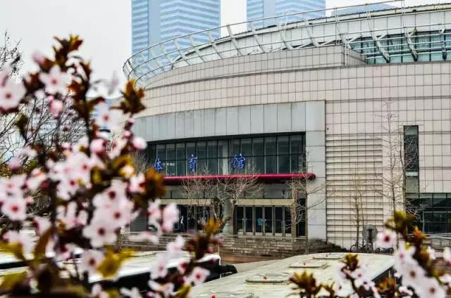 大连海事大学和辽宁省哪个级别高,大连海事大学辽宁省大学排名