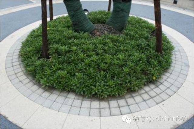 园林景观交付前十三道评估项,园林交付评估细节有哪些