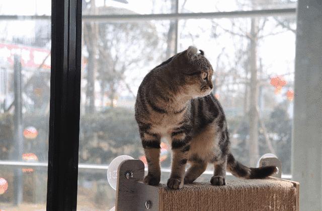 成都景点一日游12月,成都一日游景点推荐五一