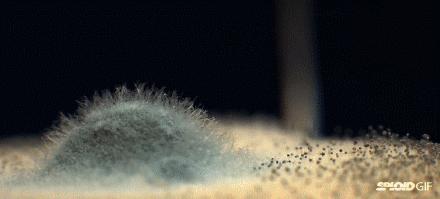 为什么内衣裤霉斑变多了,为什么裤子上穿久了会起霉点