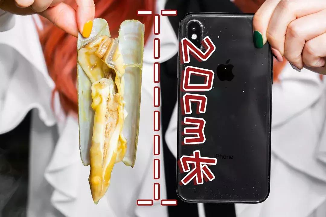 魔都惊现「2层楼小香港」，卖“蹦迪海鲜”！花胶鸡、6头鲍免费送