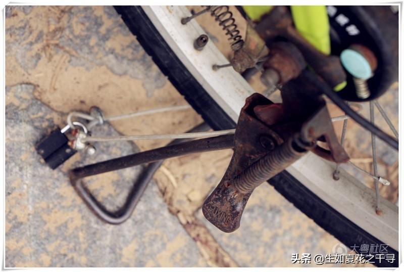 深圳市杨梅坑美人鱼拍摄基地,深圳大鹏杨梅坑美人鱼拍摄地点