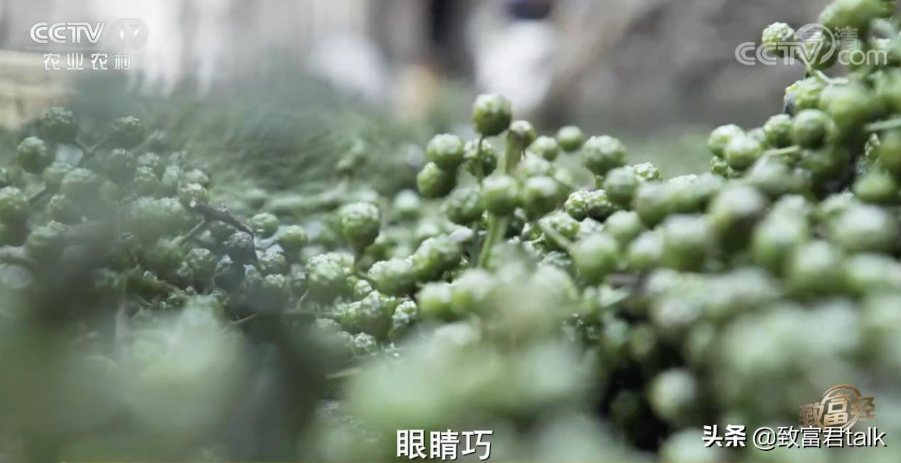 赚麻了：废蒸汽都能拿来赚钱