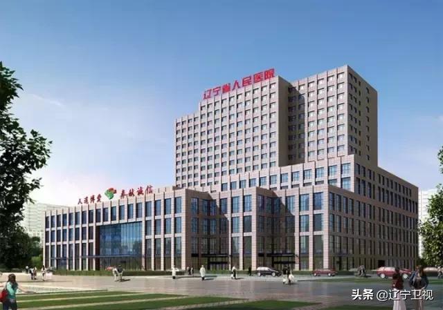 区域急危重症救治,29种危急重症急救流程图解