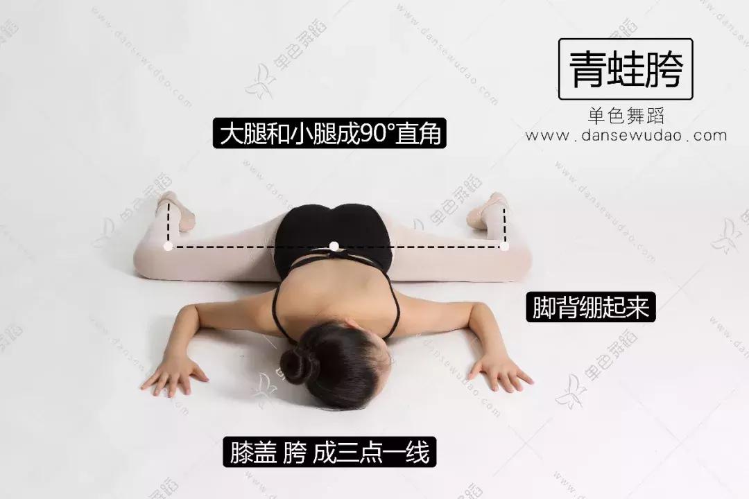 中国舞基本功青蛙胯吊头,中国舞基本功青蛙趴