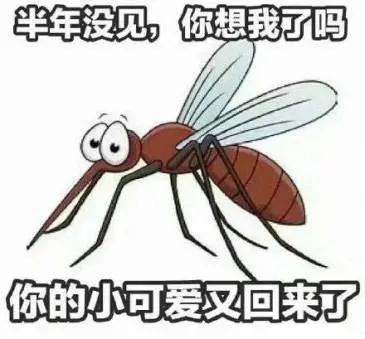耳朵里面有蚊子嗡嗡响怎么解决,晚上睡觉蚊子嗡嗡响一招解决