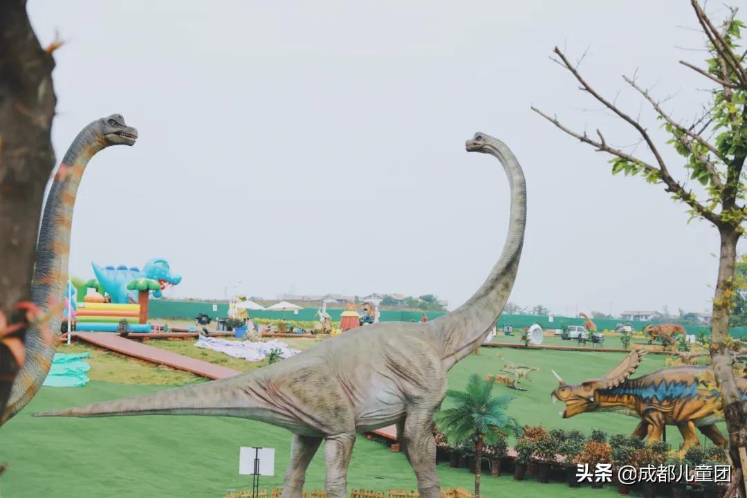 空港运动公园游玩攻略,空港体育公园是空港花田吗