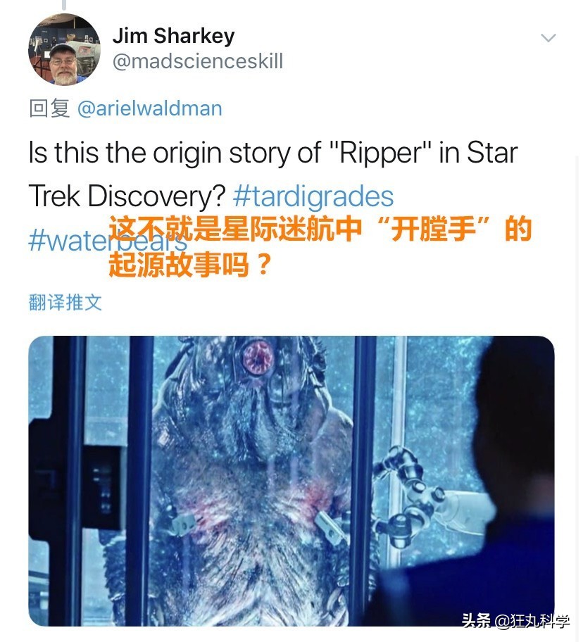 地球最强生物水熊坠落月球或幸存,地球最强的生物降临月球