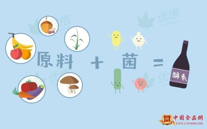 央视辟谣酵素减肥,酵素减肥已经辟谣多少次了