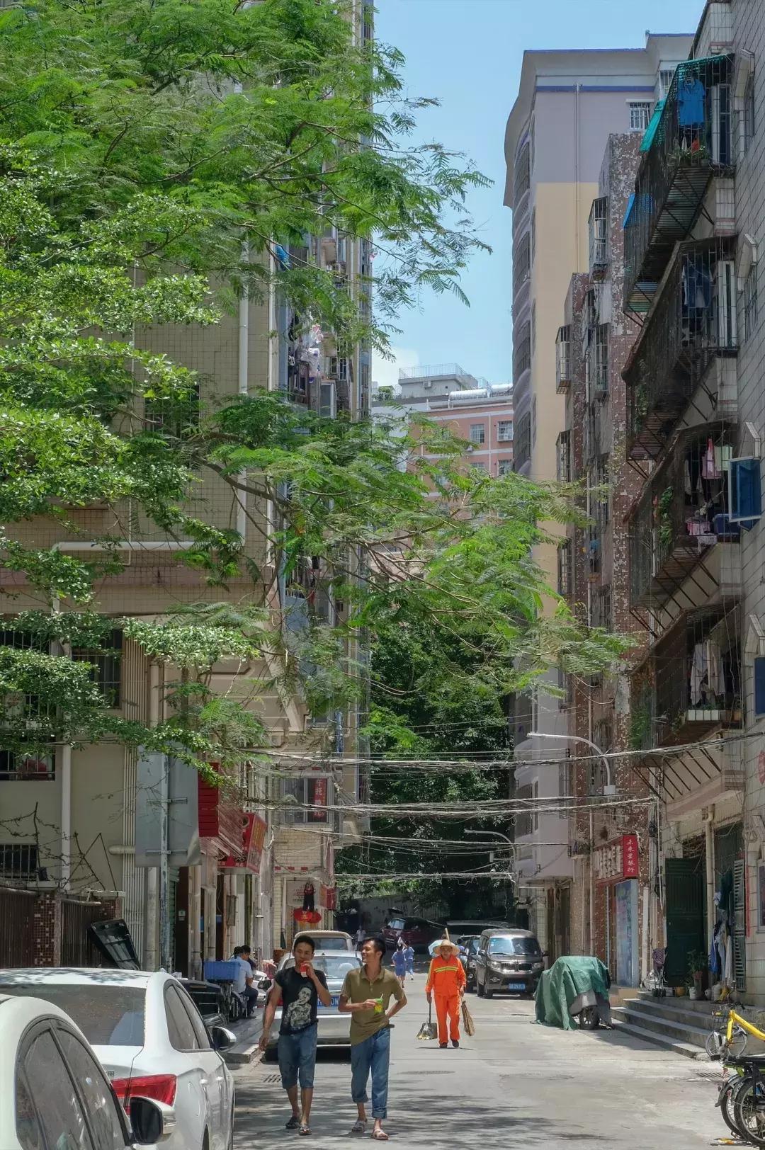 民治片区有未来吗,民治有什么特色