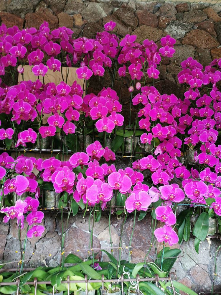 三亚冲浪旅行攻略,去三亚旅游看海