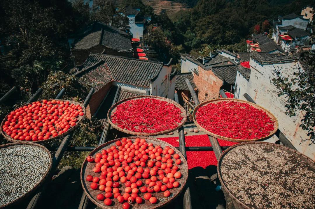 这才是中国最美的乡村,最值得去的鲜花小镇