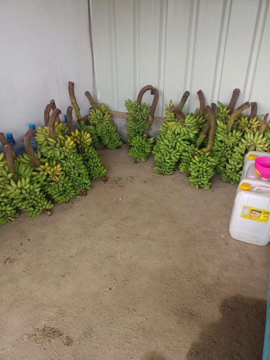 青山集团印尼纬达贝工业园区,青山集团印尼工业园区