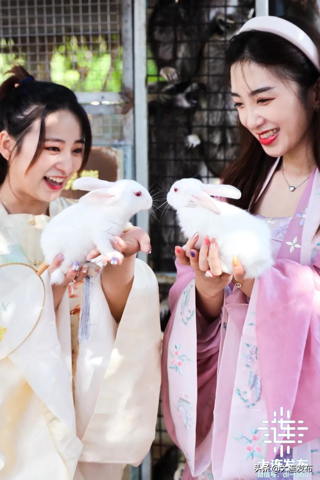 大连地区中秋出游攻略,大连中秋节旅行攻略