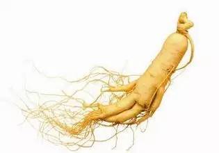 人参怎样挑选才正宗的,鲜人参怎么挑选才是好人参图片