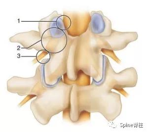 下肢疼痛是腰椎间盘突出引起的吗,下肢放射痛查不出原因