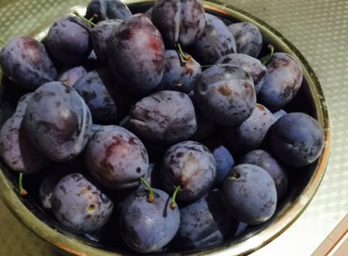 西梅挑选技巧有酒味好还是白霜好,西梅买黄的还是红的甜