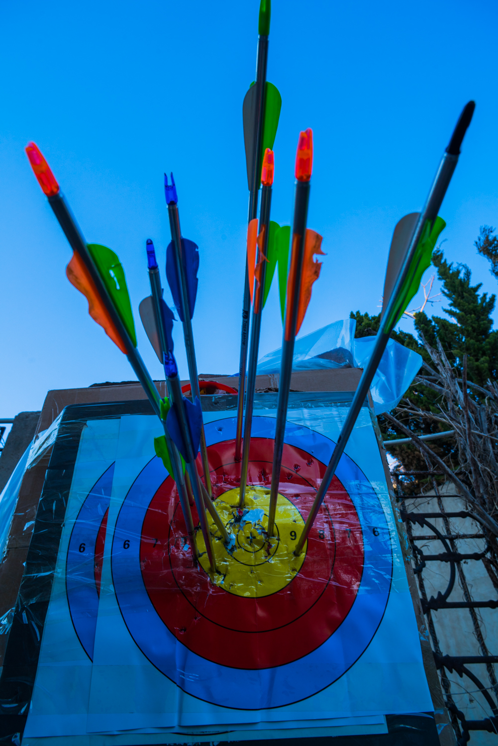 国产复合弓十大品牌,实战测试弓和弩