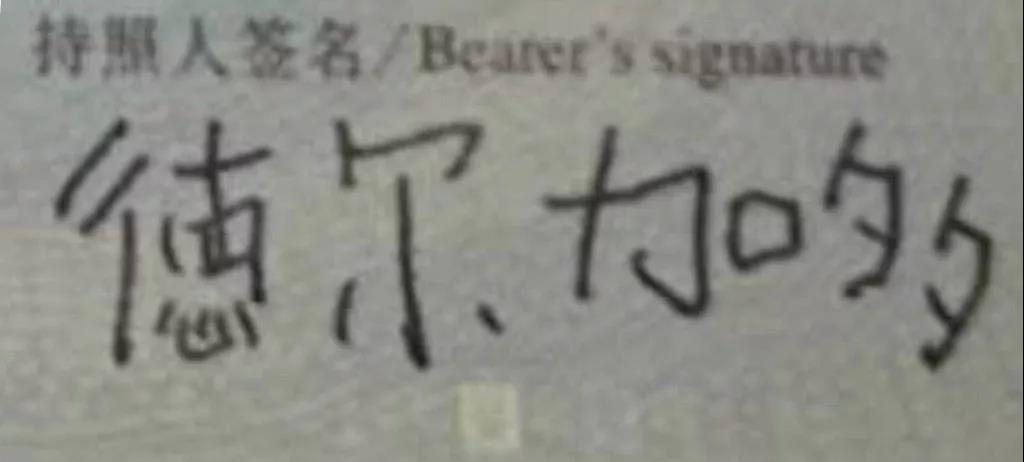 鲁能德尔加多个人信息,德尔加多身份证