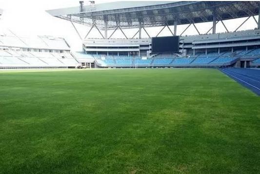 你们要的中甲田园风光，满足你们！