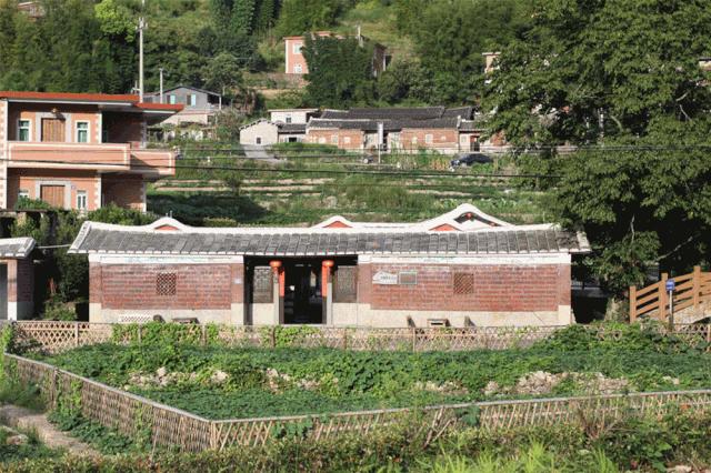 招募|穿过四季跑进福建，这一次跟着村跑去邂逅永春红