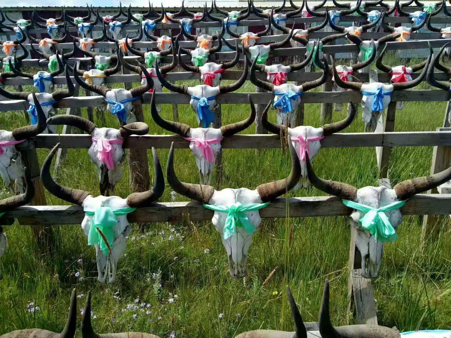 去青海湖的路上,青海湖的达玉部落咋样