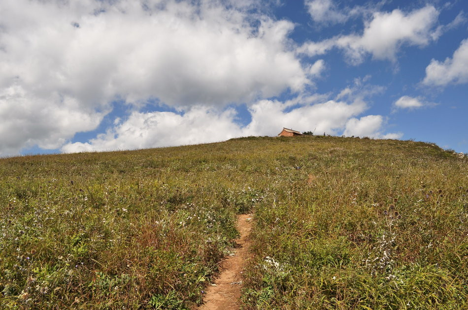 广西长寿村天然氧吧,长寿村氧吧