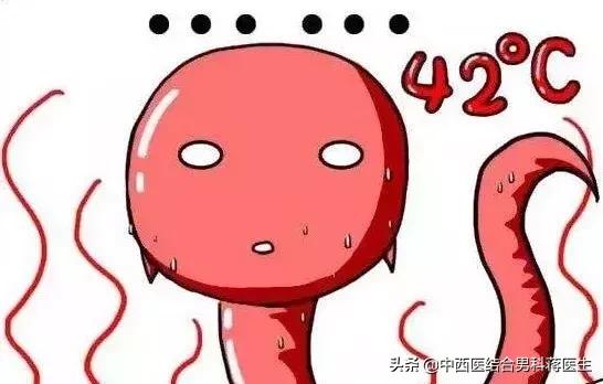 备孕可以穿很紧的裤子吗,备孕裤夏季棉