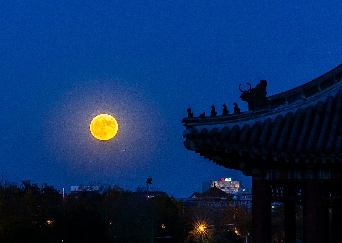 时光悠悠，四首月亮的古诗，读着读者就老了