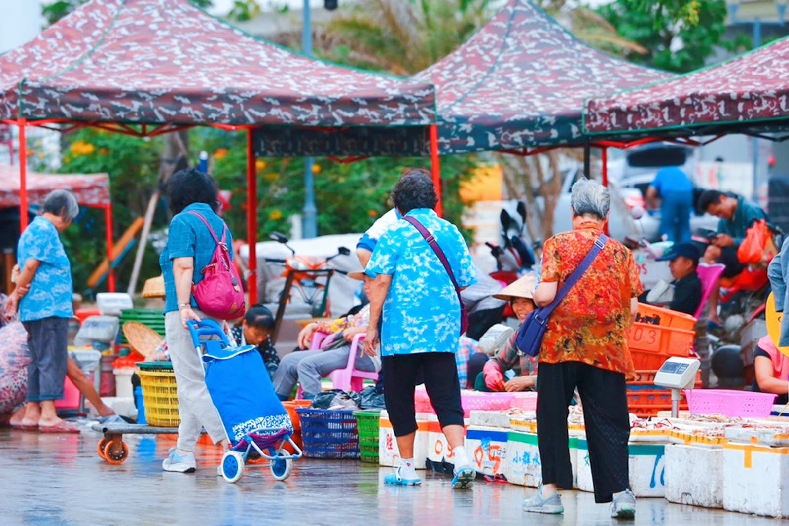 三亚有多少东北人定居,三亚适合不适合常住