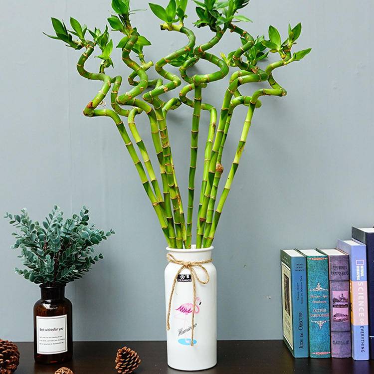 如何在空调房正确补水,空调房里怎么补水保湿